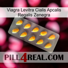 Viagra Levitra Cialis Apcalis Regalis Zenegra cialis1